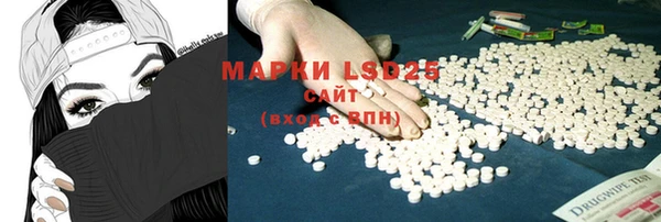 ГАЛЛЮЦИНОГЕННЫЕ ГРИБЫ Алзамай