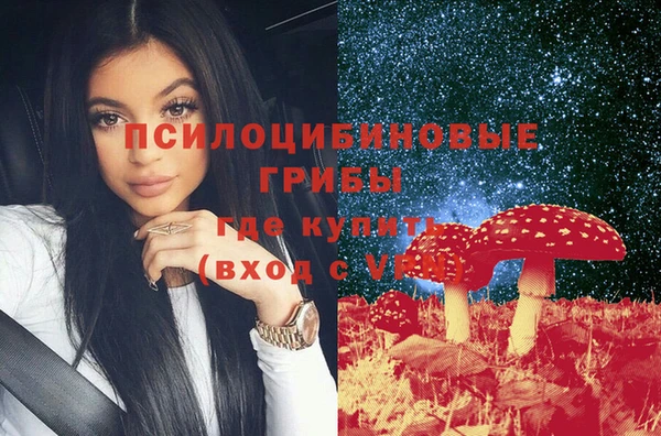 a pvp Алексин