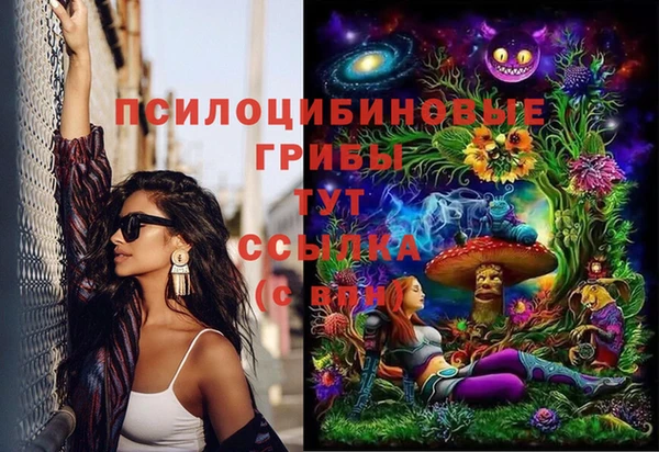 a pvp Алексин