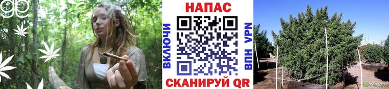 Канабис тримм  продажа наркотиков  Осинники 